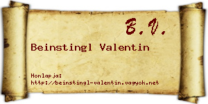 Beinstingl Valentin névjegykártya